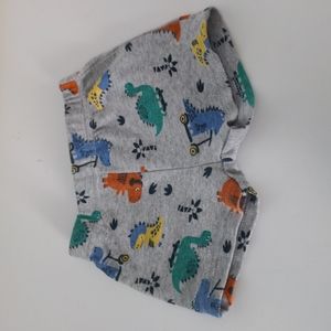 Dinosaur Shorts